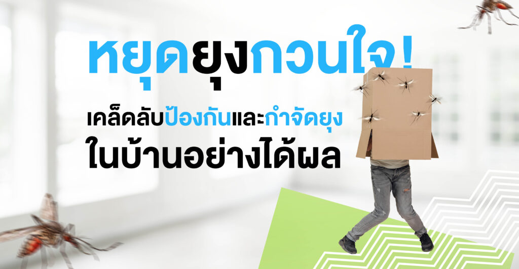 หยุดยุงกวนใจ!