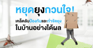 หยุดยุงกวนใจ!