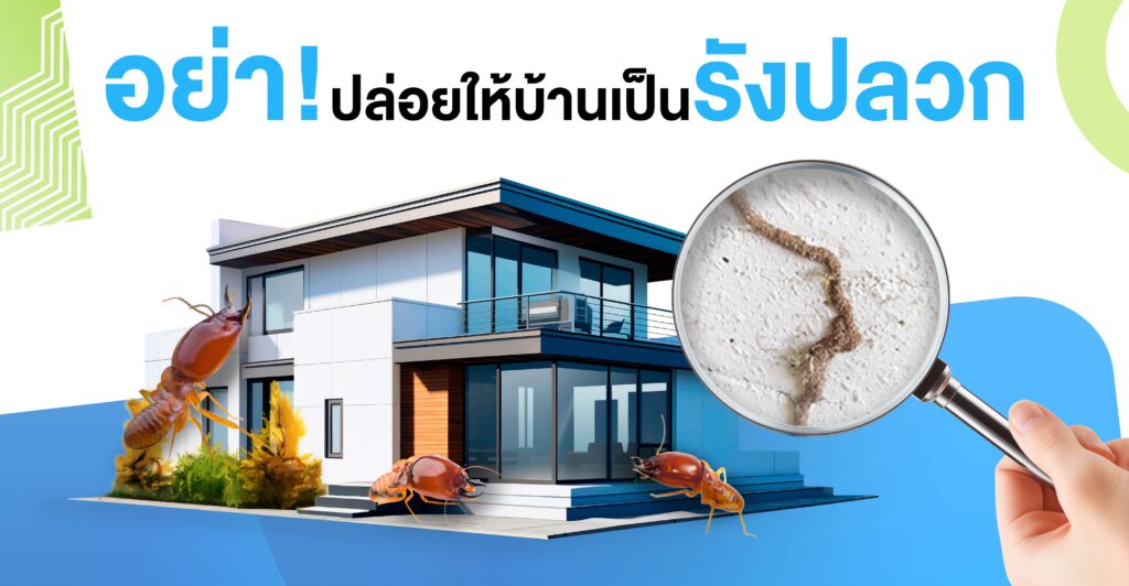 อย่าปล่อยบ้านเป็นรังปลวก