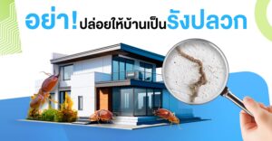 อย่าปล่อยบ้านเป็นรังปลวก